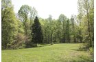 Property photo 21 - Excellent Hunting - Potential Private Retreat - 326 Acres in 3 Tracts