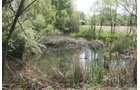Property photo 47 - Excellent Hunting - Potential Private Retreat - 326 Acres in 3 Tracts