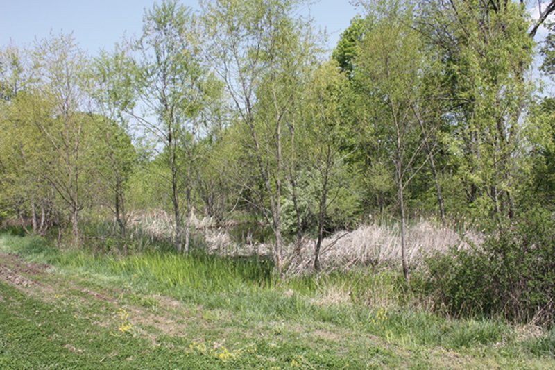 Property photo 35 - Excellent Hunting - Potential Private Retreat - 326 Acres in 3 Tracts