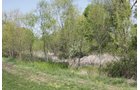 Property photo 35 - Excellent Hunting - Potential Private Retreat - 326 Acres in 3 Tracts