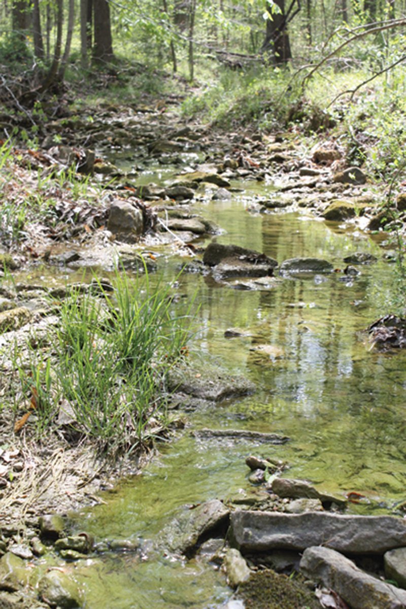 Property photo 5 - Excellent Hunting - Potential Private Retreat - 326 Acres in 3 Tracts
