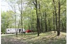 Property photo 38 - Excellent Hunting - Potential Private Retreat - 326 Acres in 3 Tracts