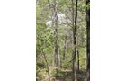 Property photo 17 - Excellent Hunting - Potential Private Retreat - 326 Acres in 3 Tracts
