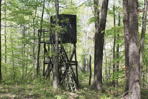 Excellent Hunting - Potential Private Retreat - 326 Acres in 3 Tracts