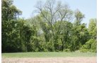 Property photo 23 - Excellent Hunting - Potential Private Retreat - 326 Acres in 3 Tracts