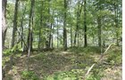 Property photo 14 - Excellent Hunting - Potential Private Retreat - 326 Acres in 3 Tracts