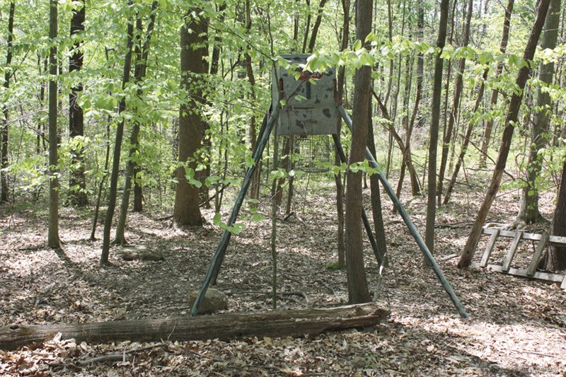 Property photo 33 - Excellent Hunting - Potential Private Retreat - 326 Acres in 3 Tracts