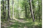 Property photo 25 - Excellent Hunting - Potential Private Retreat - 326 Acres in 3 Tracts