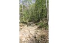 Property photo 31 - Excellent Hunting - Potential Private Retreat - 326 Acres in 3 Tracts