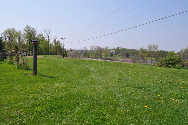 Property photo 41 - Shriner Lake Auction - 150+/- ft. on Shriner Lake Offered in 4 Tracts