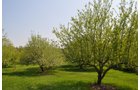 Property photo 44 - Shriner Lake Auction - 150+/- ft. on Shriner Lake Offered in 4 Tracts