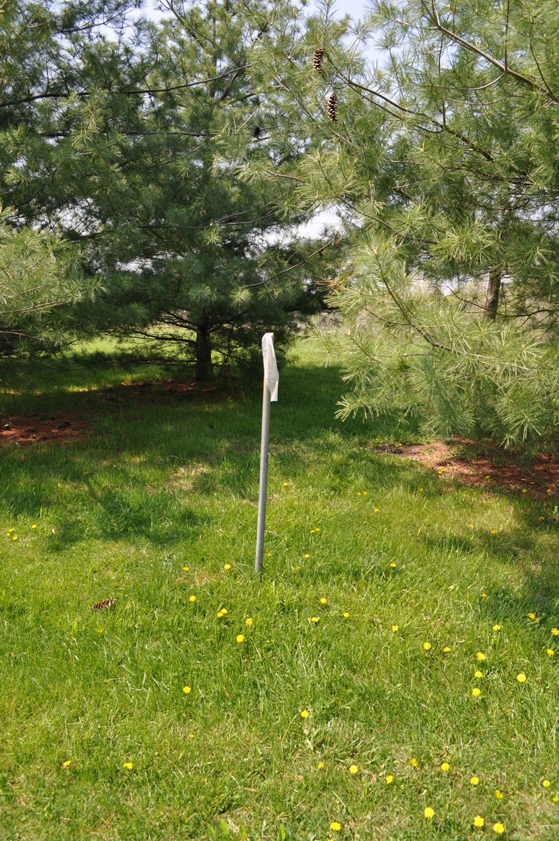 Property photo 48 - Shriner Lake Auction - 150+/- ft. on Shriner Lake Offered in 4 Tracts