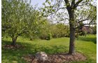Property photo 19 - Shriner Lake Auction - 150+/- ft. on Shriner Lake Offered in 4 Tracts