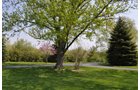 Property photo 51 - Shriner Lake Auction - 150+/- ft. on Shriner Lake Offered in 4 Tracts