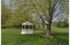 Property photo 53 - Shriner Lake Auction - 150+/- ft. on Shriner Lake Offered in 4 Tracts