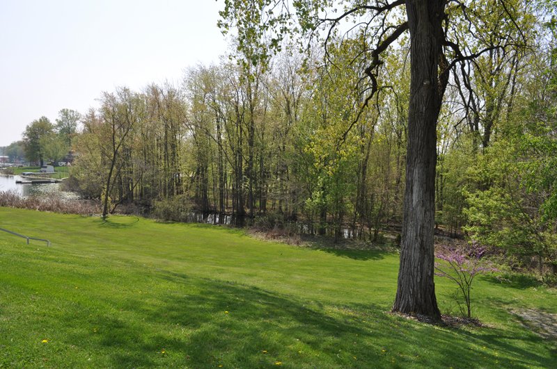 Property photo 46 - Shriner Lake Auction - 150+/- ft. on Shriner Lake Offered in 4 Tracts