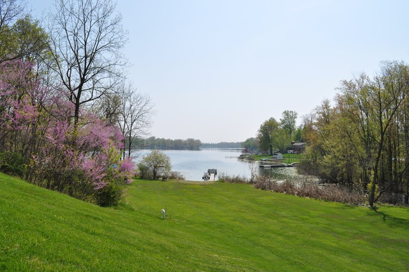 Property photo 18 - Shriner Lake Auction - 150+/- ft. on Shriner Lake Offered in 4 Tracts