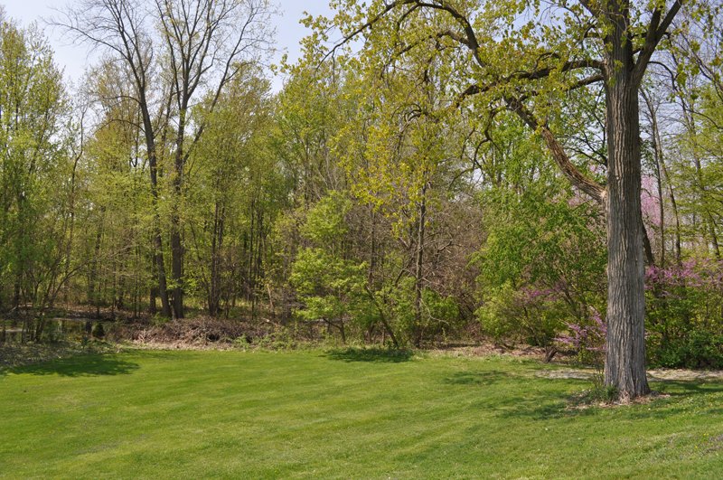 Property photo 56 - Shriner Lake Auction - 150+/- ft. on Shriner Lake Offered in 4 Tracts