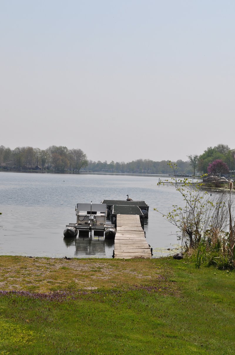 Property photo 60 - Shriner Lake Auction - 150+/- ft. on Shriner Lake Offered in 4 Tracts