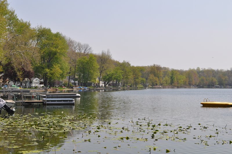 Property photo 11 - Shriner Lake Auction - 150+/- ft. on Shriner Lake Offered in 4 Tracts