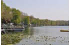 Property photo 11 - Shriner Lake Auction - 150+/- ft. on Shriner Lake Offered in 4 Tracts