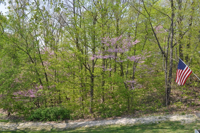 Property photo 21 - Shriner Lake Auction - 150+/- ft. on Shriner Lake Offered in 4 Tracts