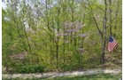 Property photo 21 - Shriner Lake Auction - 150+/- ft. on Shriner Lake Offered in 4 Tracts