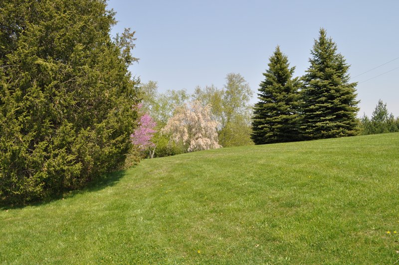 Property photo 39 - Shriner Lake Auction - 150+/- ft. on Shriner Lake Offered in 4 Tracts