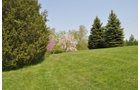 Property photo 39 - Shriner Lake Auction - 150+/- ft. on Shriner Lake Offered in 4 Tracts