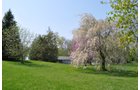 Property photo 54 - Shriner Lake Auction - 150+/- ft. on Shriner Lake Offered in 4 Tracts