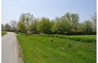 Property photo 29 - Shriner Lake Auction - 150+/- ft. on Shriner Lake Offered in 4 Tracts