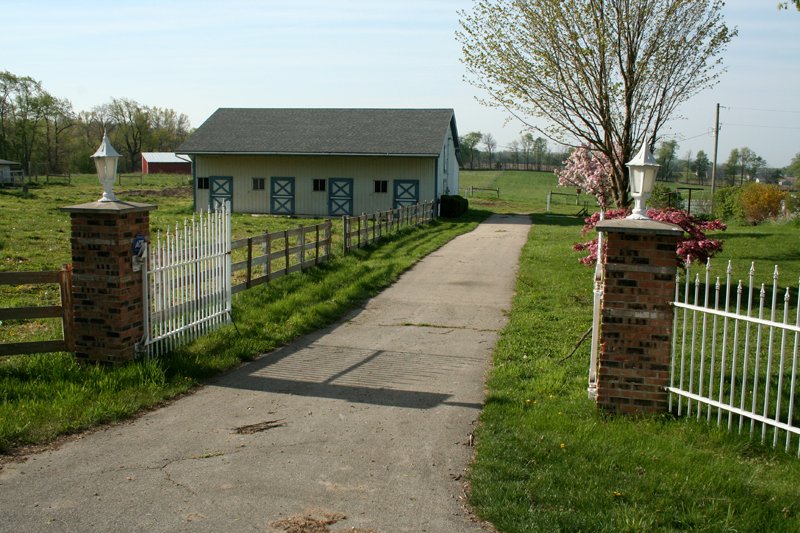 Property photo 37 - Country Homestead and 37 Acres Offered in 6 Tracts