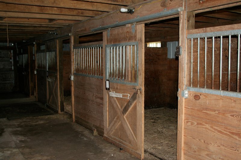 Property photo 9 - Country Homestead and 37 Acres Offered in 6 Tracts