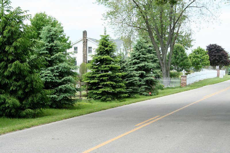 Property photo 1 - Country Homestead and 37 Acres Offered in 6 Tracts