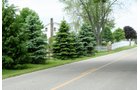 Property photo 1 - Country Homestead and 37 Acres Offered in 6 Tracts