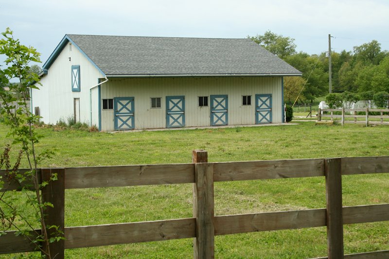 Property photo 13 - Country Homestead and 37 Acres Offered in 6 Tracts