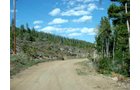 Property photo 8 - Get Lost in the Pristine Northern Colorado Rockies - Prime Building Sites