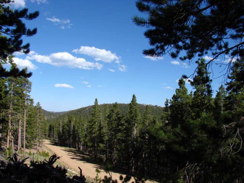 Property photo 21 - Get Lost in the Pristine Northern Colorado Rockies - Prime Building Sites