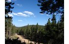 Property photo 21 - Get Lost in the Pristine Northern Colorado Rockies - Prime Building Sites
