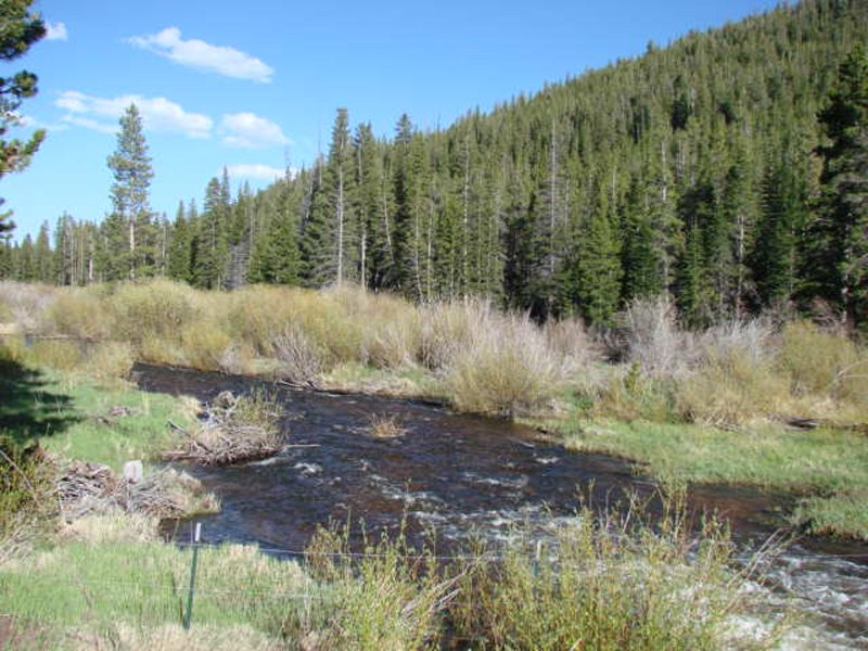 Property photo 33 - Get Lost in the Pristine Northern Colorado Rockies - Prime Building Sites