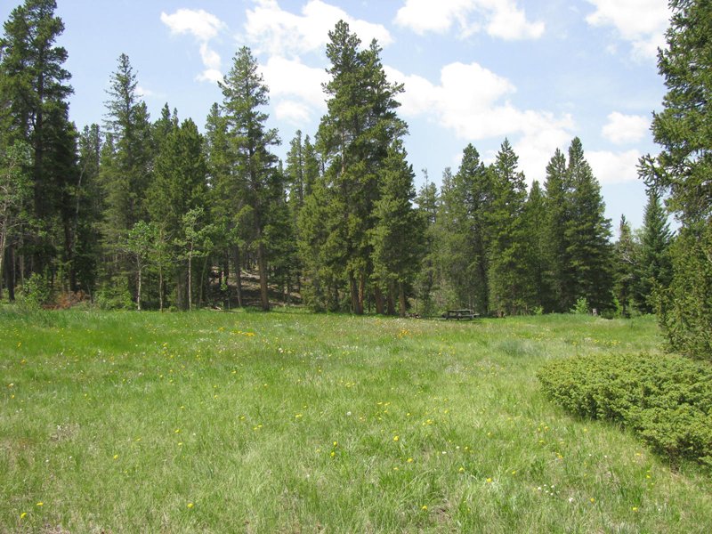 Property photo 11 - Get Lost in the Pristine Northern Colorado Rockies - Prime Building Sites