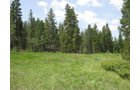 Property photo 11 - Get Lost in the Pristine Northern Colorado Rockies - Prime Building Sites