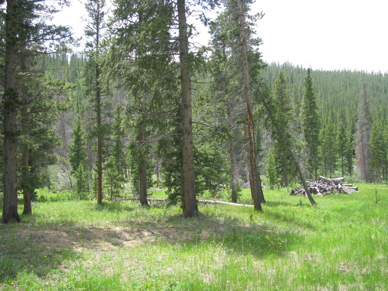 Property photo 15 - Get Lost in the Pristine Northern Colorado Rockies - Prime Building Sites