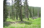 Property photo 15 - Get Lost in the Pristine Northern Colorado Rockies - Prime Building Sites