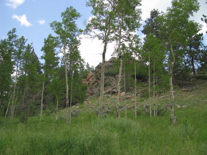 Property photo 5 - Get Lost in the Pristine Northern Colorado Rockies - Prime Building Sites