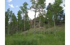 Property photo 5 - Get Lost in the Pristine Northern Colorado Rockies - Prime Building Sites