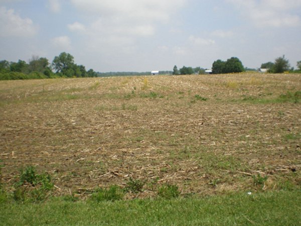 59 Acres Offered in 2 Tracts