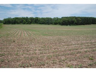 Property photo 16 - 771 Acres - 4 Farms Offered in 9 Tracts