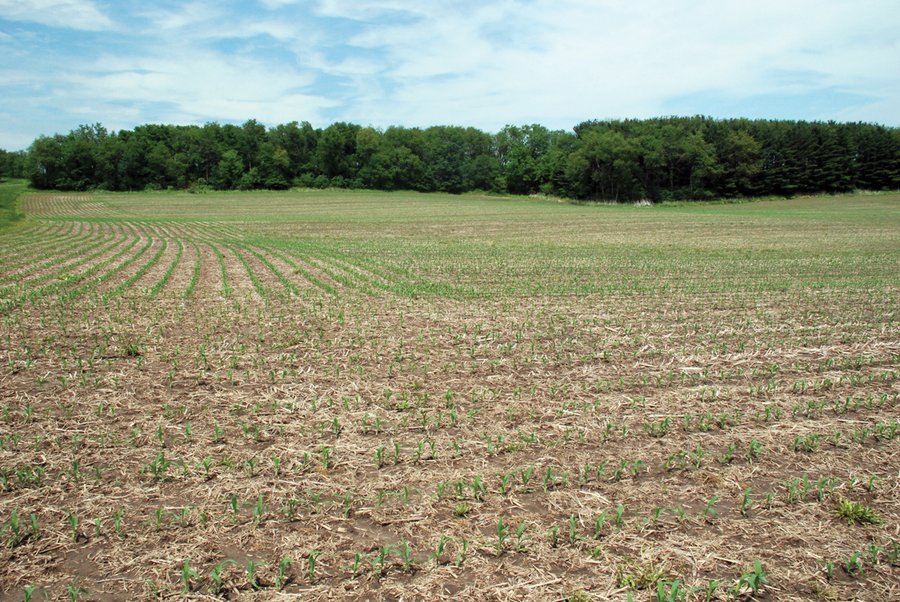 771 Acres - 4 Farms Offered in 9 Tracts