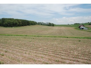 Property photo 7 - 771 Acres - 4 Farms Offered in 9 Tracts
